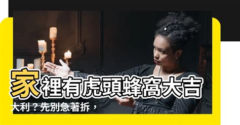 虎頭蜂窩風水|家裡有虎頭蜂窩風水不可不看攻略 (2024年更新)